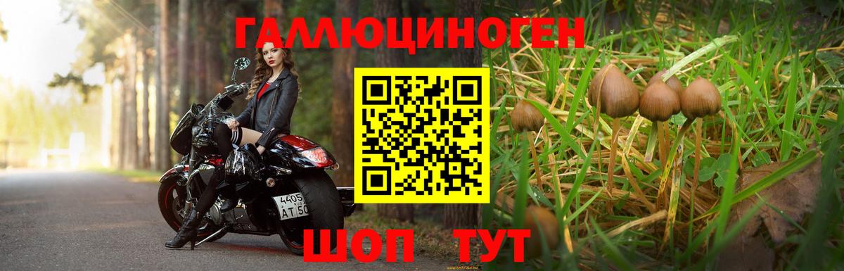 Псилоцибиновые грибы ЛСД  Вход с VPN  Братск 